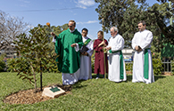 Blessing of Remembrance Tree web